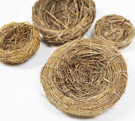 Craft Bird Nests