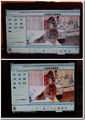 2011 feb 17 monitor
