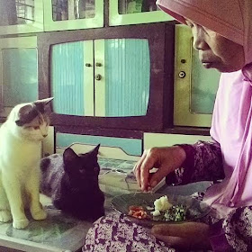 Ai dan Hikari pingin makan tuh