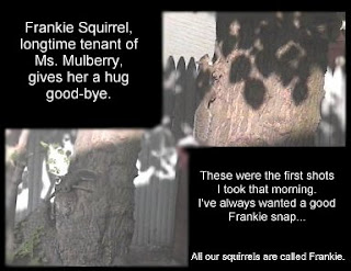 Frankie Squirrel