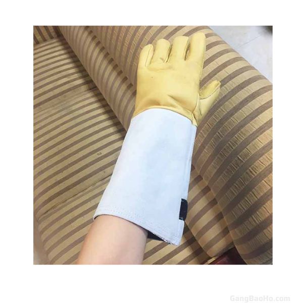 Găng tay chống lạnh chính hãng