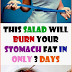  THIS SALAD WILL BURN YOUR STOMACH FAT IN ONLY 3 DAYS 