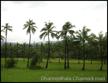 Dharmasthala-Charmadi road