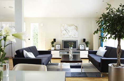 Minimalist Living Room Ideas