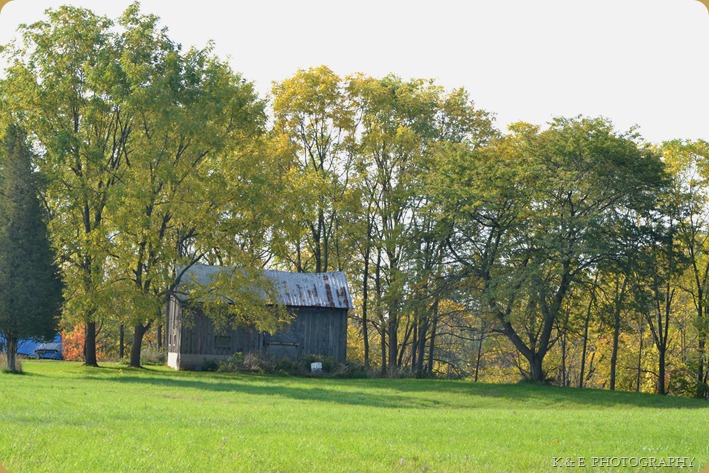 DSC_4114