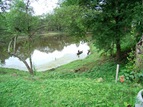 GX_050705_115