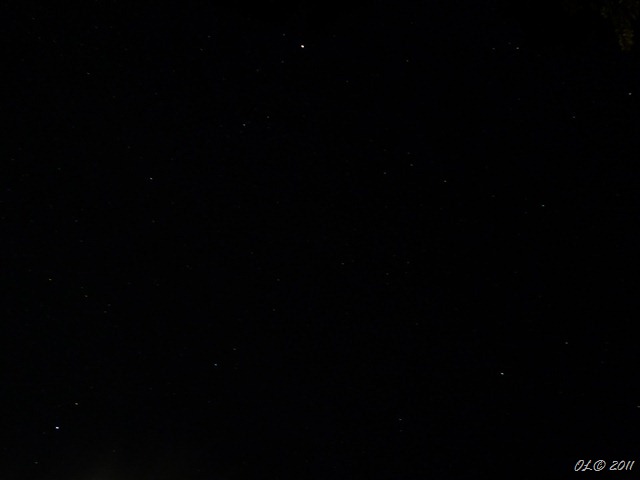 P1110015