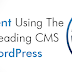 Wordpress Developer- Customise your online core