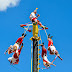 LOS VOLADORES SE QUEDARON EN PAPANTLA 