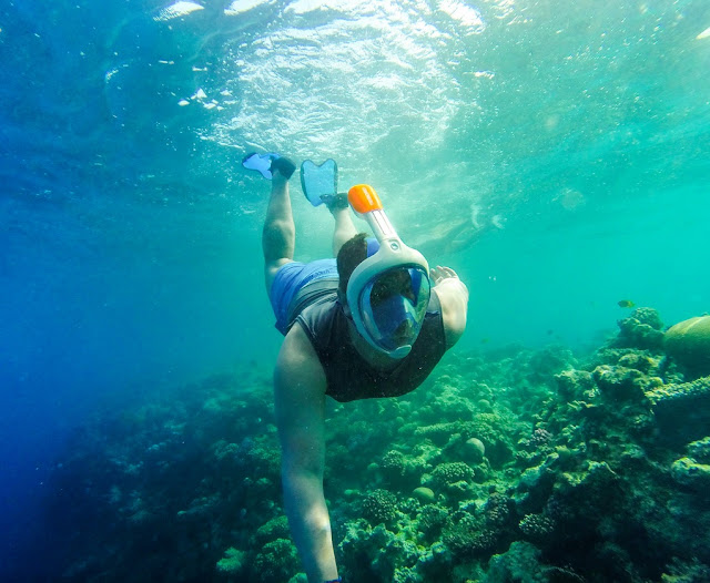 Snorkeling Tours in Hurghada 