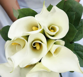 Bouquets de Novias Blancos, parte 4