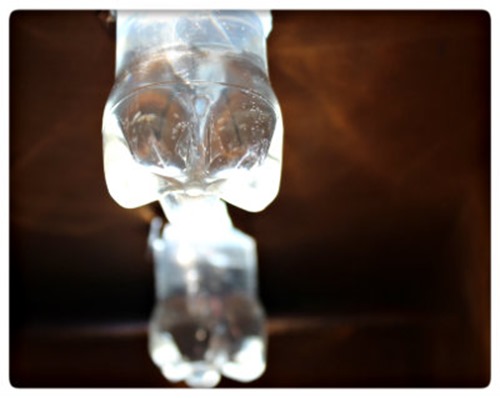 White Bottles that look like lightbulbs