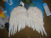 Bird Costume Wings