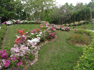 Beautiful Flowers@Lai Chi Kok Park