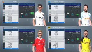 PES 2017 PES Professional 04 Sept. 2018 option file