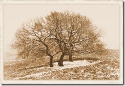 foto Planken Wambuis uit 1855(?)