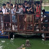 Thai crocodile farm slammed after pictures of tourists on precarious-looking platform go viral