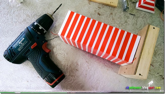IMAG0585