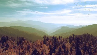 Kufri Shimla