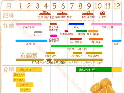 [最も好ましい] 柑橘類 育て 方 304354-柑橘類 はるみ の 育て 方