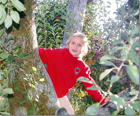 gracieinappletree
