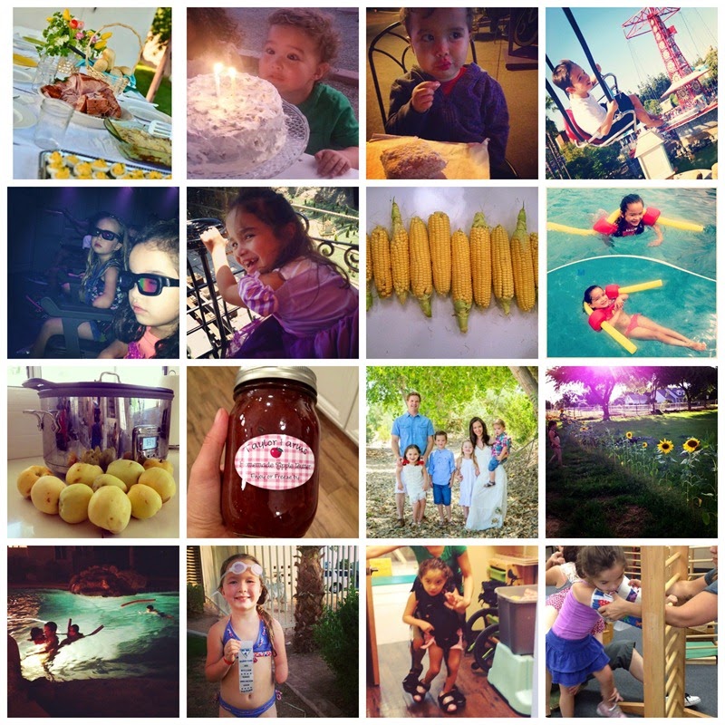 PicMonkey Collage06-25-14
