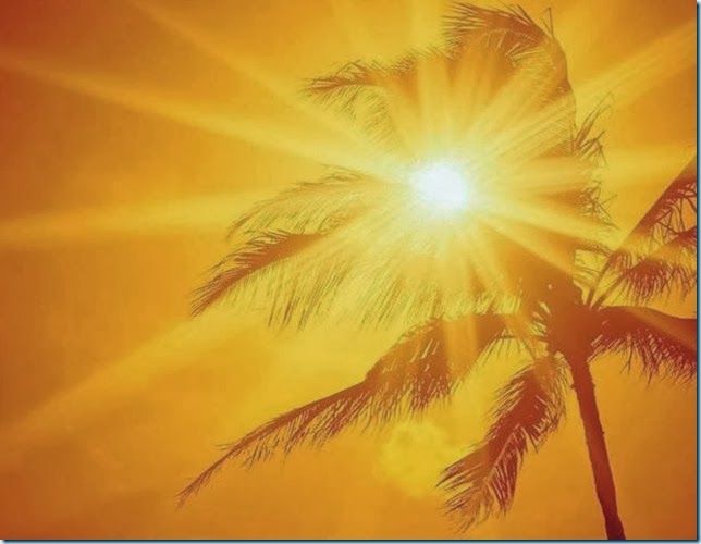 vitamina d16