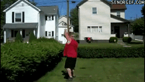 gif_0l1