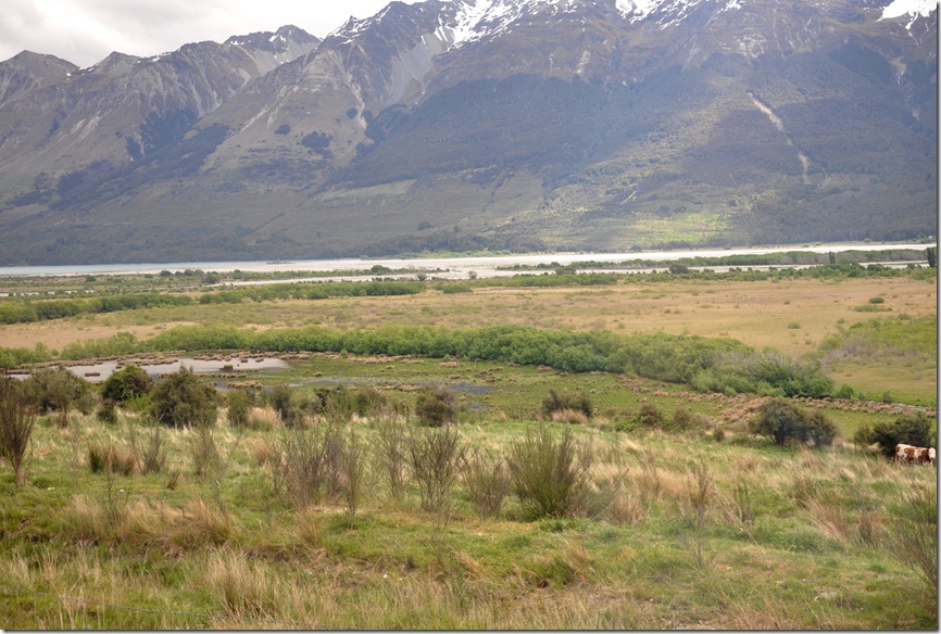 black marshes