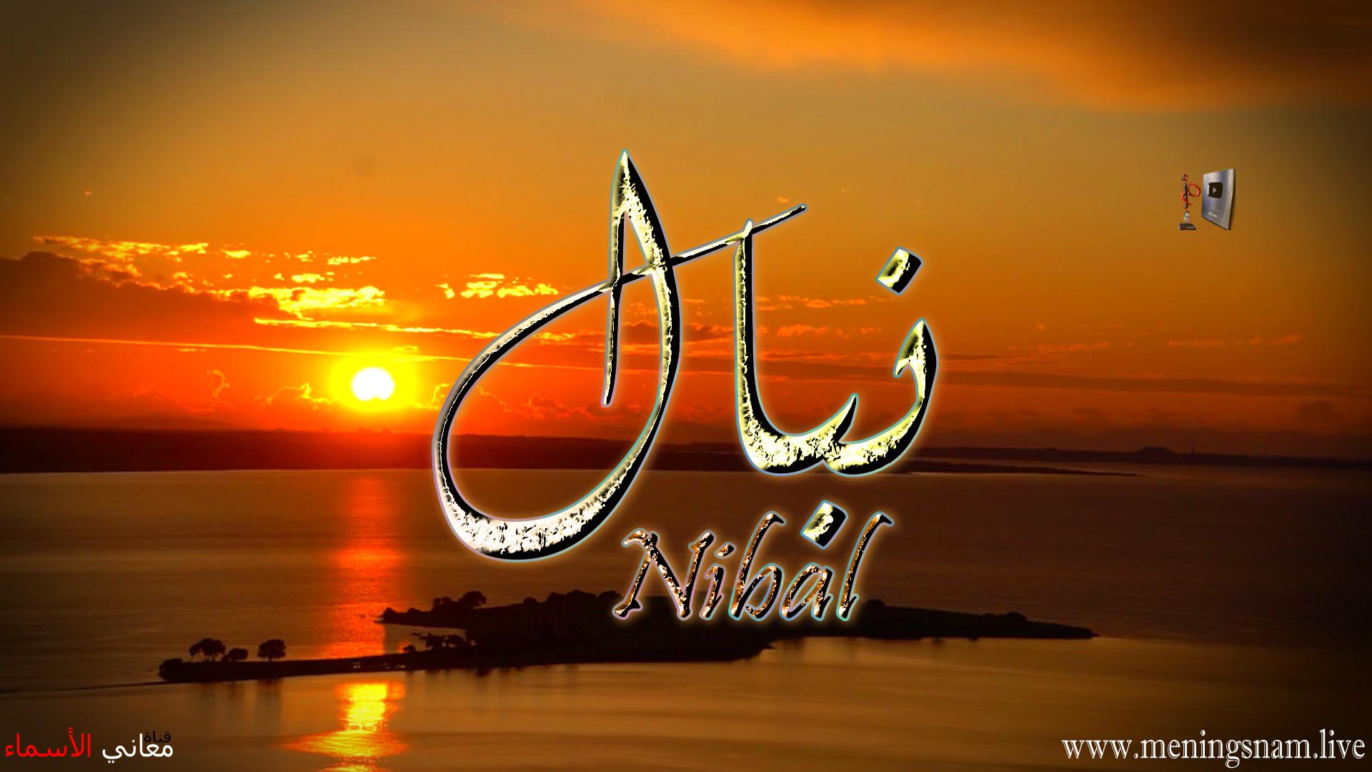 معنى اسم, نبال, وصفات, حاملة, وحامل, هذا الاسم, Nibal,