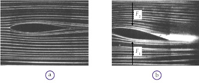 (a) Ketika sayap pesawat horizontal, sayap tidak mengalami gaya angkat. (b) Ketika sayap pesawat dimiringkan, pesawat mendapat gaya angkat sebesar F1 - F2
