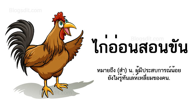 ไก่อ่อน