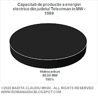 Surse de generare a energiei electrice din judetul Teleorman in MW in anul 1989