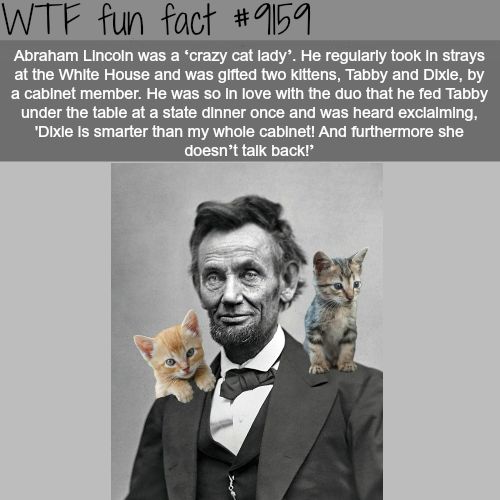 Interesting Random Facts
