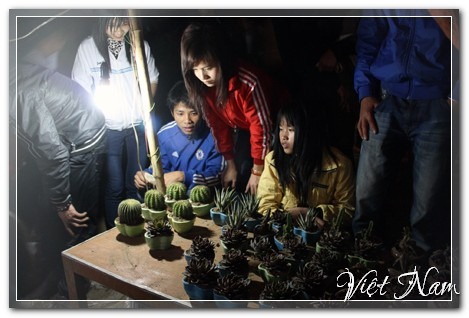 Cảnh Đẹp Việt Nam - Nam Định - Tù mù đi chợ Viềng cầu may