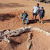 5 feet tall, 15 tons in weight, is this huge fossil of creature  Loch Ness Monster? 