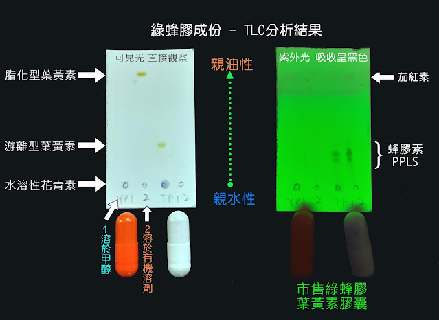 薄層層析分離組成分及判別