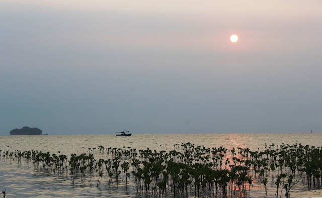 pulau karang bongkok, kepulauan seribu