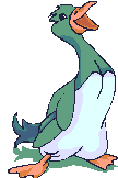 patos gifs buscoimagenes (20)