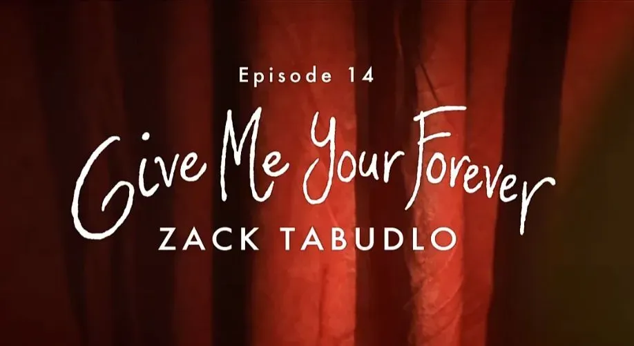Arti dan Makna Sebenarnya di Balik Terjemahan Lagu Give Me Your Forever dari Zack Tabudlo