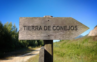 Tierra de conejos.