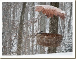 bird feeder basket attracts its first visitor a chickadee but out of focus