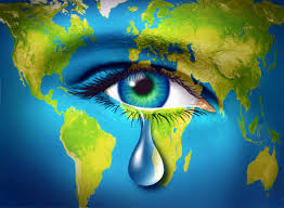 Embracing Ecological Renewal: A Call to Action for a Sustainable Future | Earth in Crisis