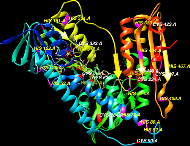 PDB Id: 3DK9