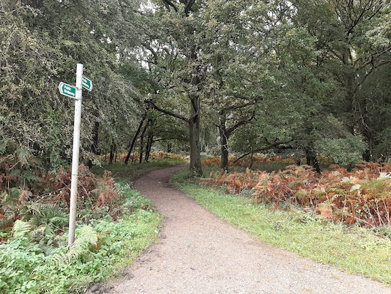 Great Gaddesden bridleway 10 mentioned in point 4 below Image by Hertfordshire Walker released via Creative Commons BY-NC-SA 4.0