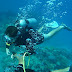 Learn to Free Dive, Free Dive Academy, Free Dive | Click For Needs, Muscle Fiber - Fiber Muscle