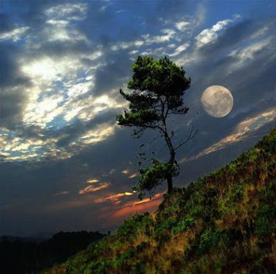 Beautiful Moon Pictures