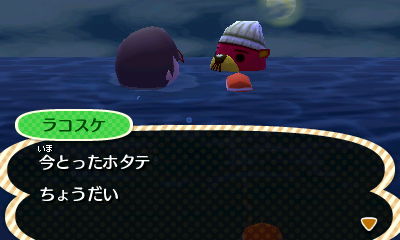 とびだせ どうぶつの森 ホタテを狙う住人ラコスケについて 生臭坊主のゲームメモ