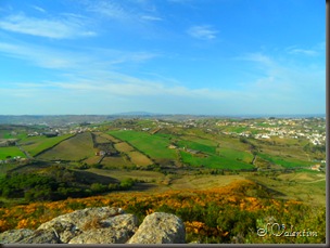 SAM_0369
