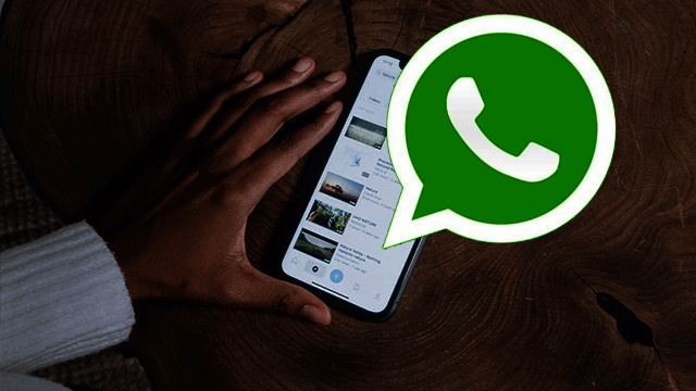 ارسل إلى 500 رقم أو أكثر عبر الواتساب بضغطة زر
